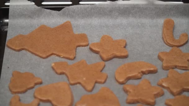 Cierre Galletas Jengibre Crudas Están Bandeja Hornear Esperando Cuando Envían — Vídeos de Stock