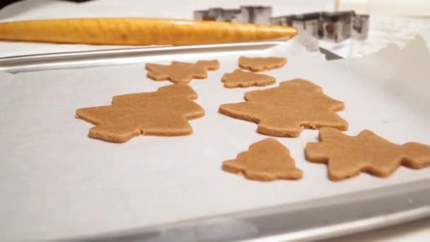 Cierre Galletas Jengibre Crudas Están Bandeja Hornear Esperando Cuando Envían — Vídeos de Stock