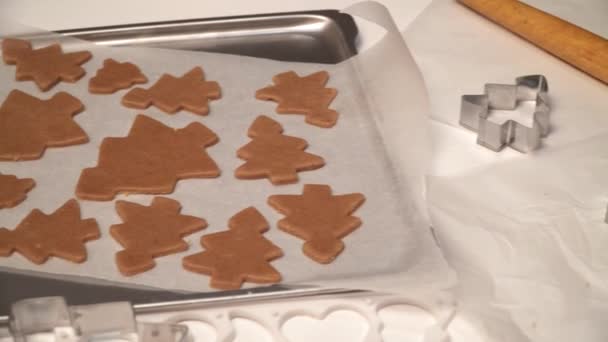 Nahaufnahme Von Mädchenhänden Die Selbst Gebackene Lebkuchen Herstellen Weihnachtsbacken Teig — Stockvideo