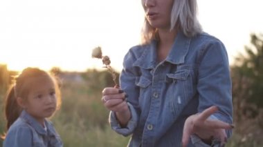 Karışık yarış Aile, Avrupa anne ve Asyalı kızı vakit parkta sunset Bulvarında. Anne bir kır çiçeği Çin kızı verir. Bahar ya da yaz sezonu sıcak