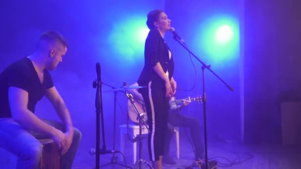 Müzik Bant Mavi Işık Arka Planda Duman Konserinde Sahnede Müzisyen — Stok video