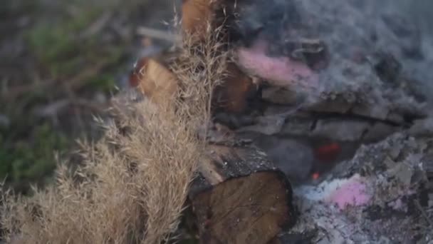 Close Smoldering Vapor Log Cinzas Chão Perto Grama Indígena Nutans — Vídeo de Stock