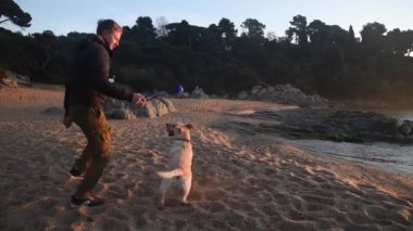 Bir adam gün doğumunda sahilde bir köpekle oynar.