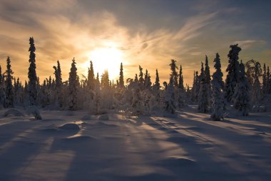 Kış ormanında gün batımı