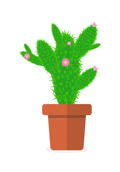 kaktüs çiçeği tencereye çizim vektör