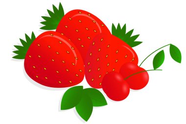 Vector drawing of realistic, bright, juicy berries with highlights and shadows on white background. clipart