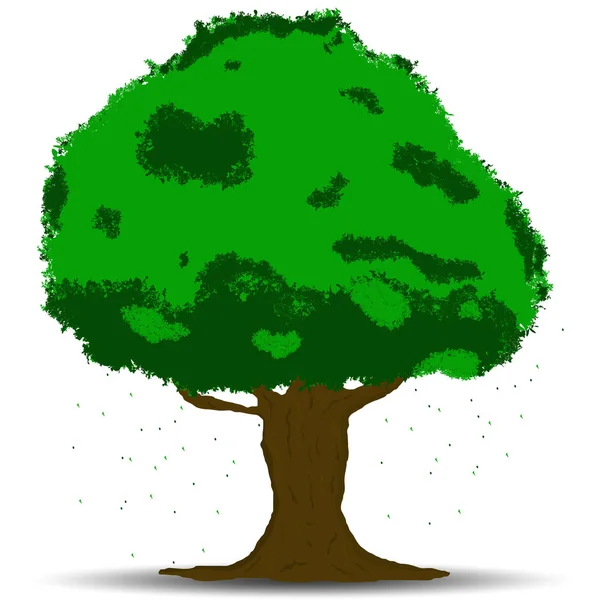 Beyaz arka planda izole edilmiş gölgeli yeşil ağaç çizimi vektör. 