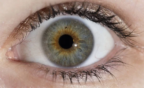 Λεπτομέρεια Από Ένα Έκπληκτο Ανθρώπινο Μάτι Ορατή Ίριδα Γυναίκα Χρώματα — Φωτογραφία Αρχείου