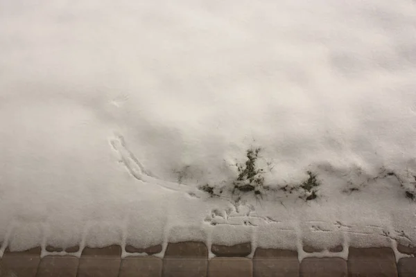 Стричь Следы Снегу — стоковое фото