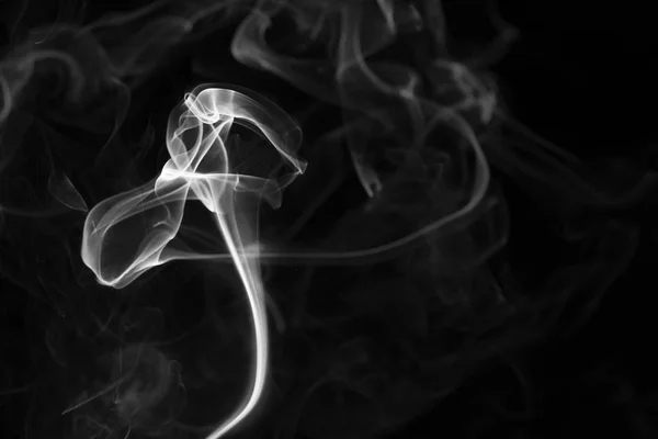 Çiçeği hatırlatan siyah bir arka planda sigara içmek.