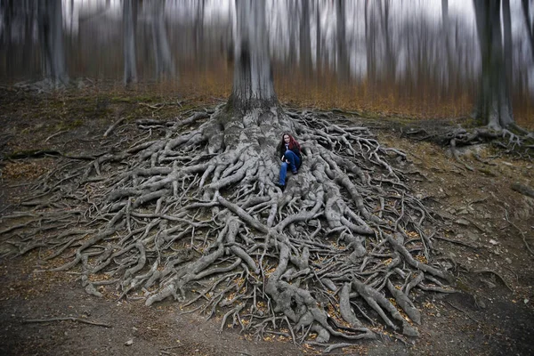 Dünyanın herhangi bir insan daha muhtemelen yaşlı ağaç.