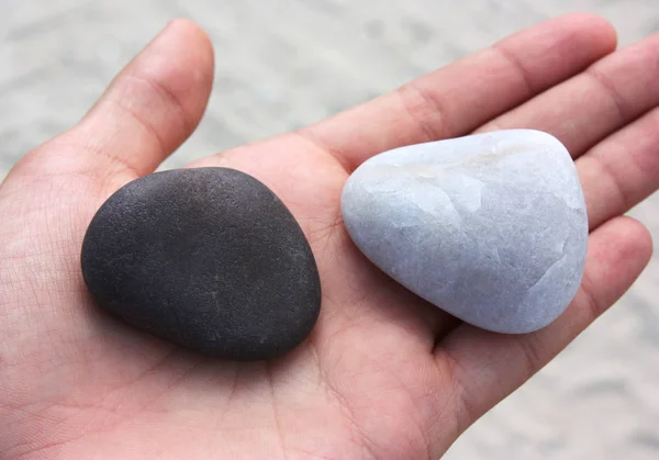 Palmiye taşları, siyah, beyaz, plajda.