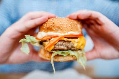      Gıda pirinç balık rulo