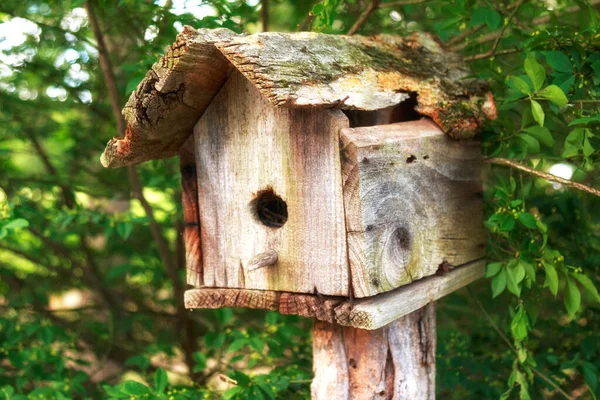 Birdhouse Rustique Bois Dans Jardin Coloré Plein Air — Photo