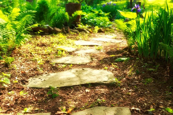 Bir yaz günü, güzel bir bahçeye giden Flagstone yolu..