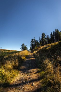 Yol için en iyi Dlouhe strane rezervuar Jeseniky, Çek Cumhuriyeti