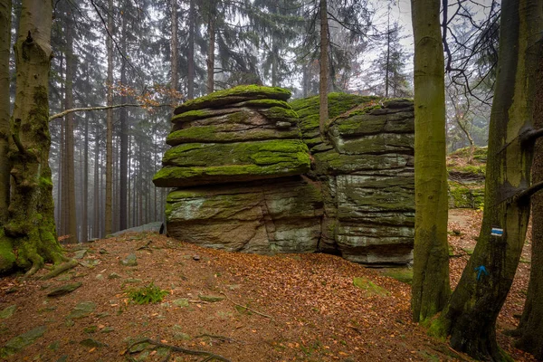 Roche Pleine Mousse Dans Forêt Automne Colorée Près Zkamenely Zamek — Photo