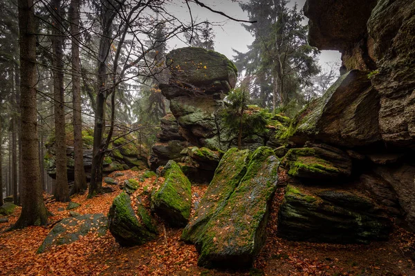 Камень Полный Мха Красочном Осеннем Лесу Недалеко Zkamenely Zamek Zdarske — стоковое фото