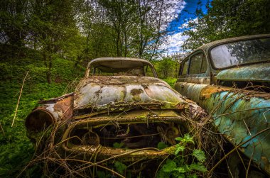 Bahçe, urbex Çek Cumhuriyeti çürüyen unutulmuş araba