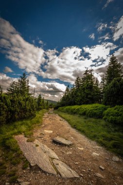 Velky Keprnik, Jeseniky, Çek Cumhuriyeti için Serak gelen ormandaki yeşil dar kayalık yol