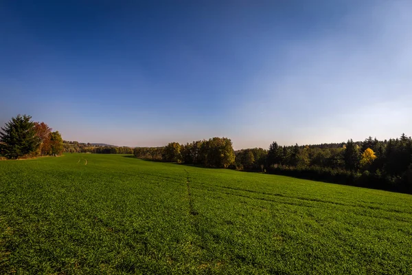 Zielone Pola Skraju Lasu Głęboko Niebieski Niebo — Zdjęcie stockowe