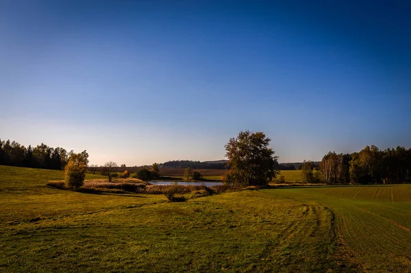 Красивый Вид Маленький Пруд Зеленом Лугу Несколькими Деревьями Осень Чешской — стоковое фото