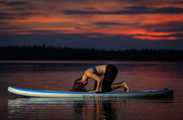 Velke Darko 어두운 화려한 일몰에 Paddleboard에 머리를 스톡 사진