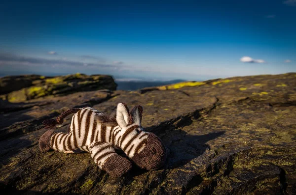 Velky Keprnik üzerine kaya Jeseniky, Serak, Çek Cumhuriyeti, koyu mavi gökyüzü ile yatan Zebra oyuncak dolması