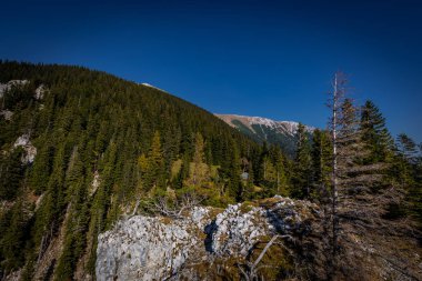 Doğal görünümünden Stadelwand Schneeberg için karanlık mavi gökyüzü ve yeşil orman, Alpen, Aşağı Avusturya