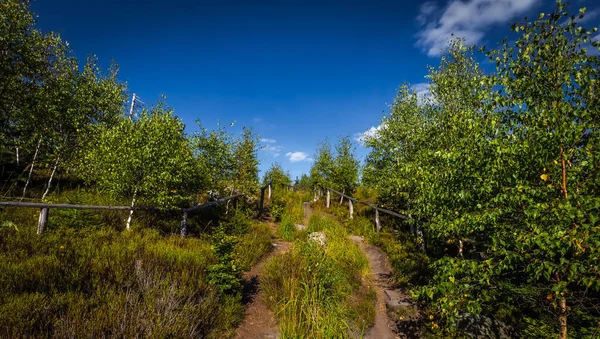 日当たりの良い狭いパス国立公園 Stolowe ポーランドの Bledne Skaly テーブル山 Szczeliniec も近く秋の森で劇的な青空と草だらけ — ストック写真