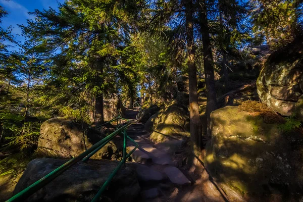 Escaliers Dans Forêt Verte Szczeliniec Wielki Dans Parc National Des — Photo