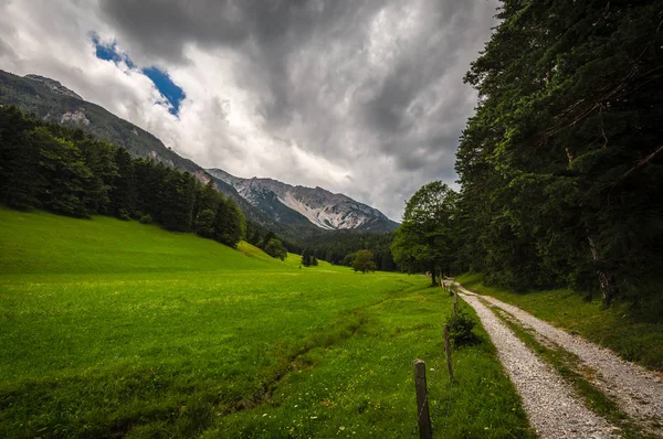 Chemin Bordure Forêt Jusqu Massif Schneeberg Près Puchberg Alpes Basse — Photo