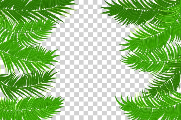 Verano selva palma hoja marco — Vector de stock