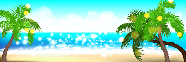 Summer time seashore palm landscape