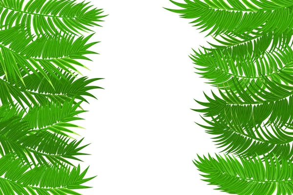 Cadre de feuille de palmier jungle été — Image vectorielle