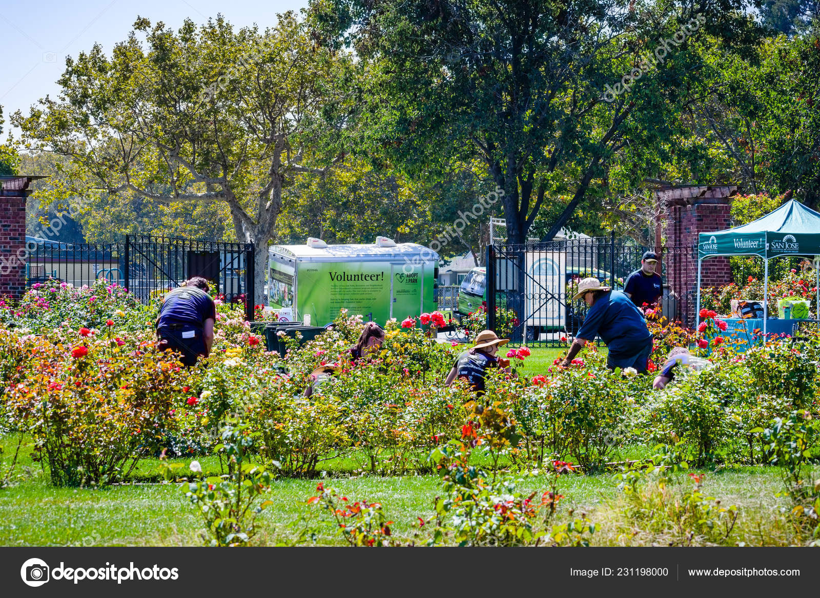 August 2018 San Jose Usa Volunteers Working Municipal Rose Garden