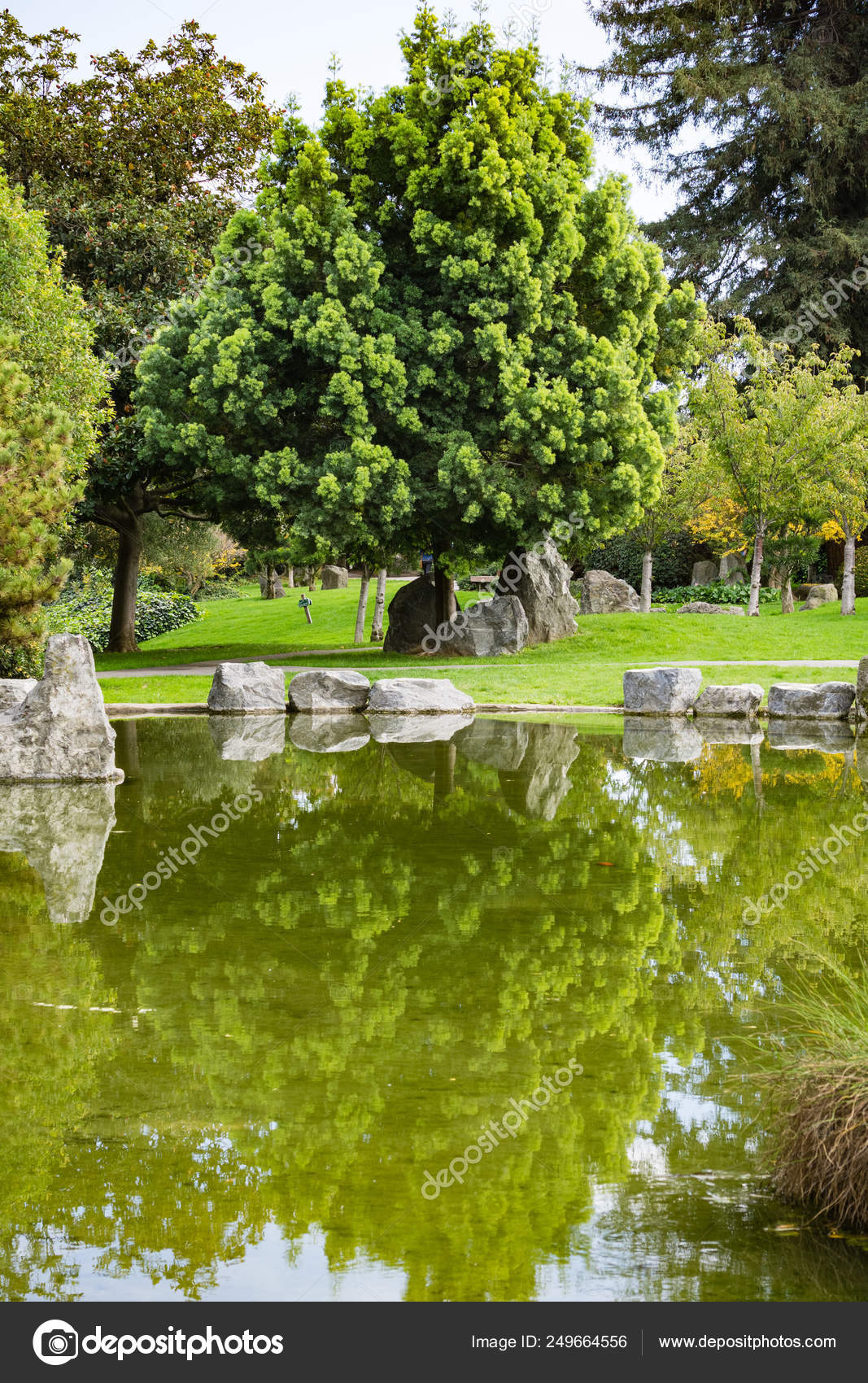 Trees Reflected In A Man Made Pond Japanese Friendship Garden