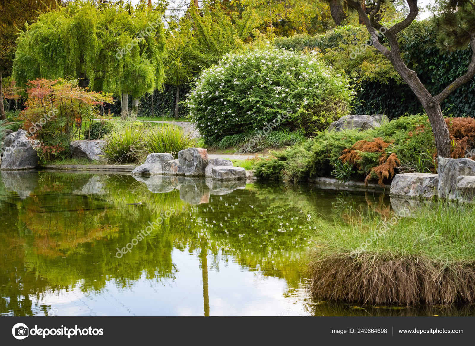 Trees Reflected In A Man Made Pond Japanese Friendship Garden