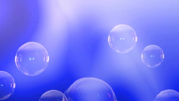 Animation de bulles montant au sommet. Le texte dans la bulle. Une bulle de savon éclate. 