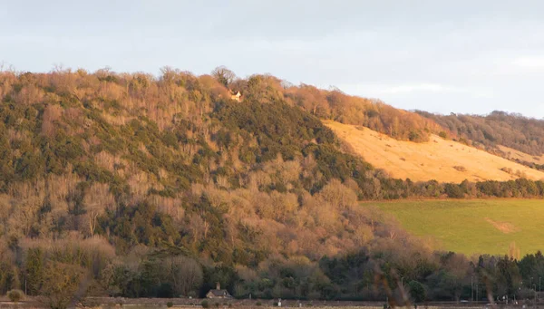 Vista Para Box Hill Perto Dorking Surrey Inglaterra Inverno Com — Fotografia de Stock