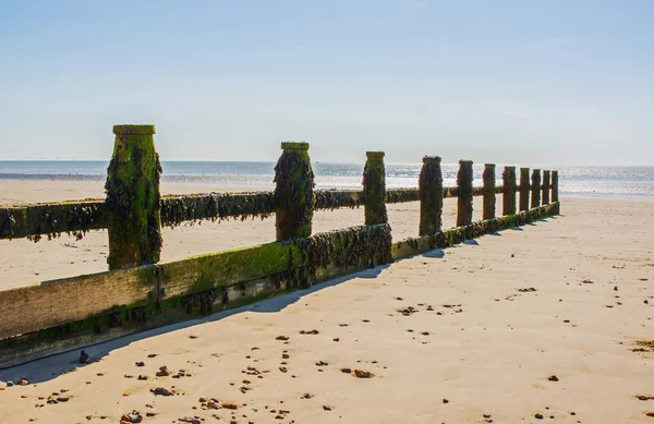 Groyne Madera Playa Arena Littlehampton West Sussex Inglaterra Marea Baja —  Fotos de Stock