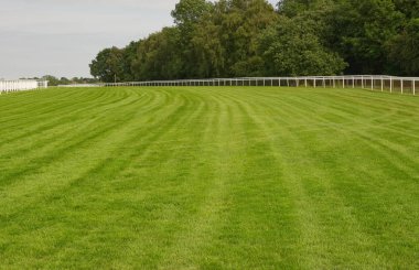 İngiltere, Surrey 'de Epsom Downs' da yarış pisti. 