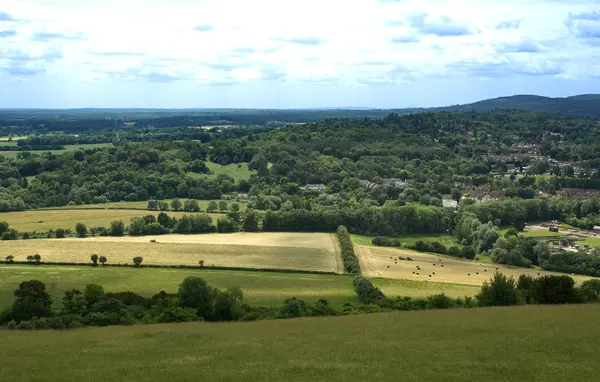 Vista Sud Boschi Campi Box Hill North Downs Dorking Surrey — Foto Stock