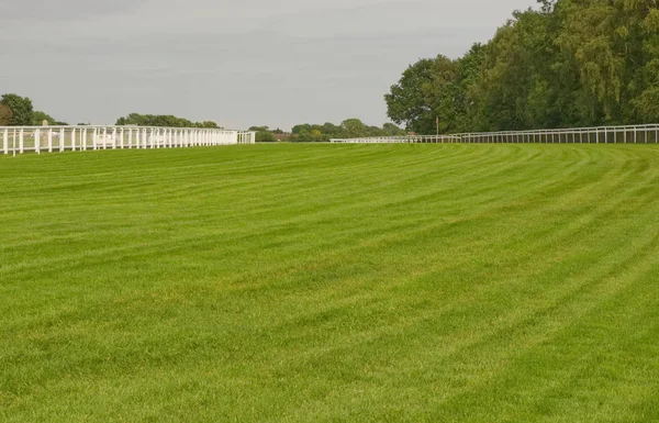 Tävlingsbana Epsom Downs Surrey England Berömd För Derby Hästkapplöpning — Stockfoto