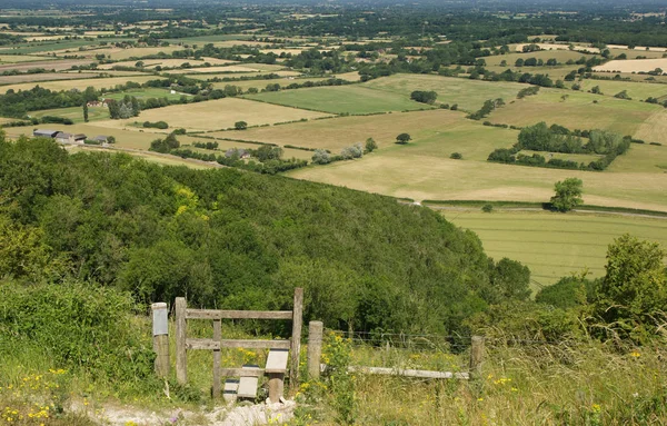 Devils Lezbiyen Üzerinden Weald Görünümünü Brighton East Sussex Ngiltere Yakınındaki — Stok fotoğraf