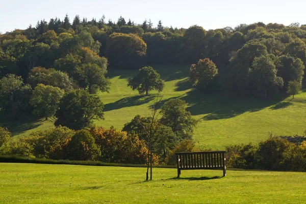 Bench. Grass lawn. England — Stock Photo, Image