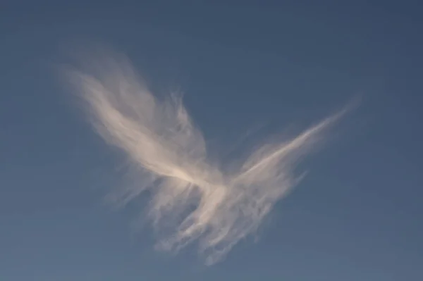 Pássaro em forma de nuvem — Fotografia de Stock