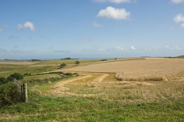South downs at steyning, west sussex, england — Stockfoto