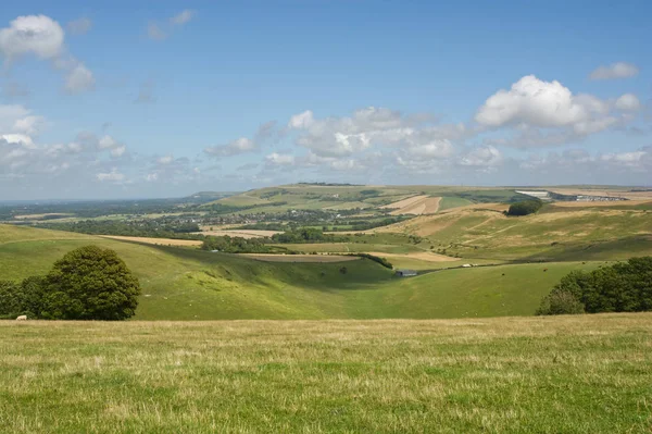 South downs at steyning, west sussex, england — Stockfoto