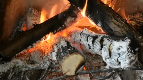 Troncos Madera Ardiendo Fuego — Vídeo de stock